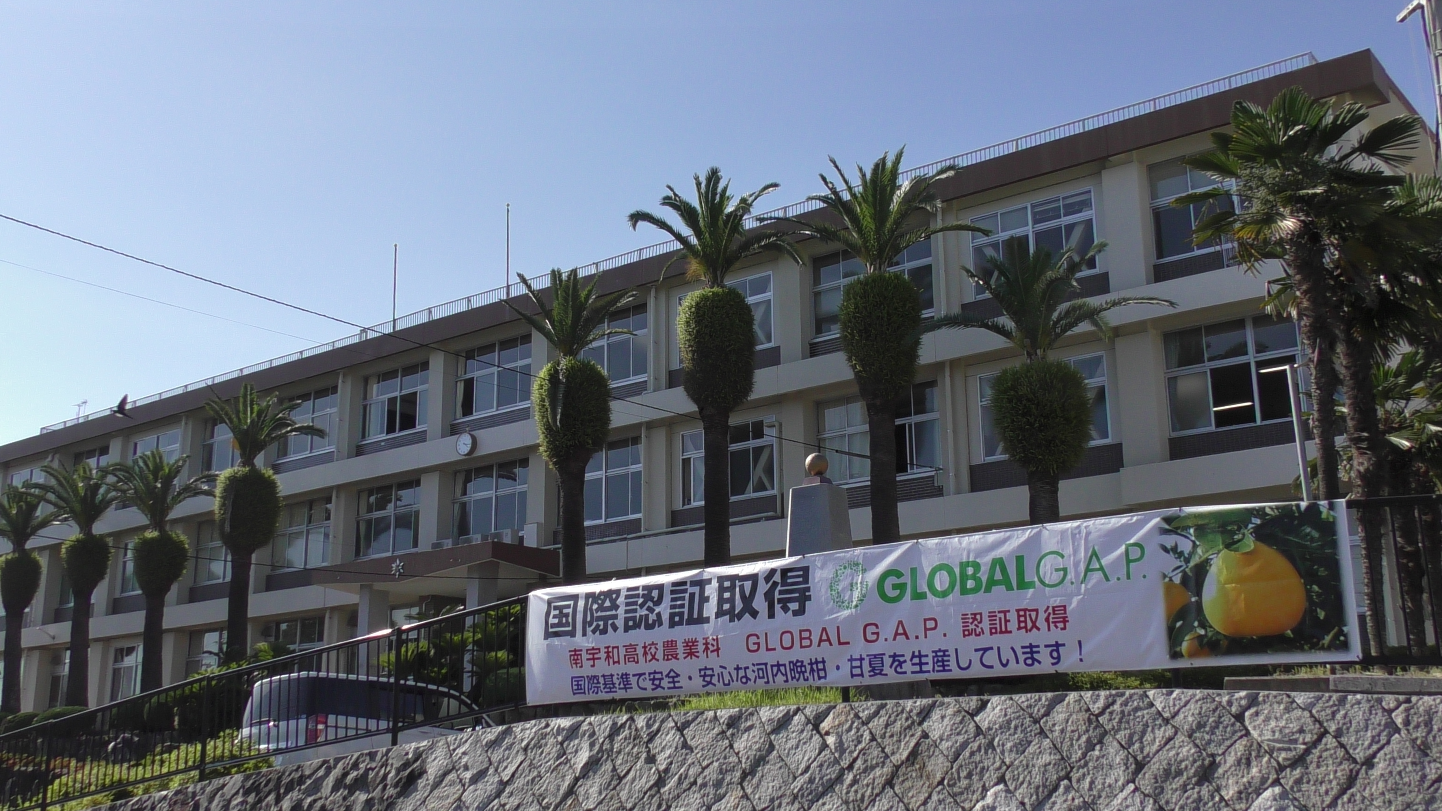 取組事例・インタビュー(愛媛県立南宇和高等学校)