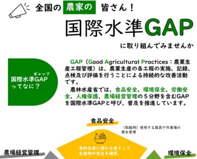 国際水準GAPパンフレット（農水省）