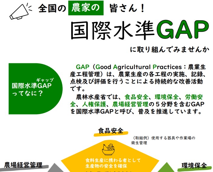 国際水準GAPパンフレット(農水省)